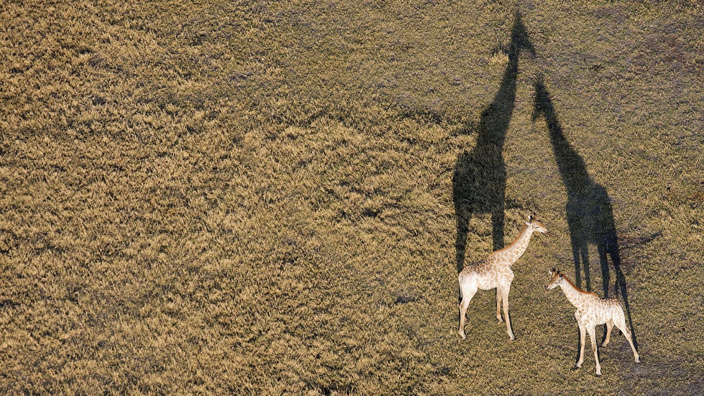 Botswanas Okavango-Delta
