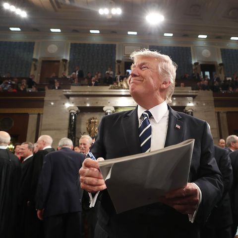 Donald Trump Faktencheck