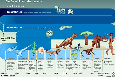 Die Entstehung des Lebens auf der Erde als Grafik