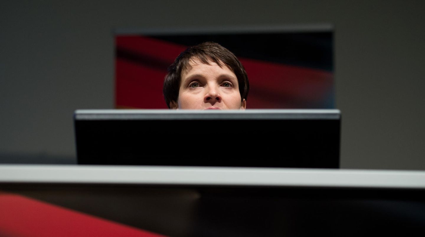 Frauke Petry sorgt mit Äußerungen für Irritationen