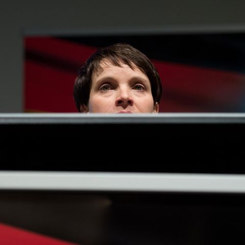 Frauke Petry sorgt mit Äußerungen für Irritationen