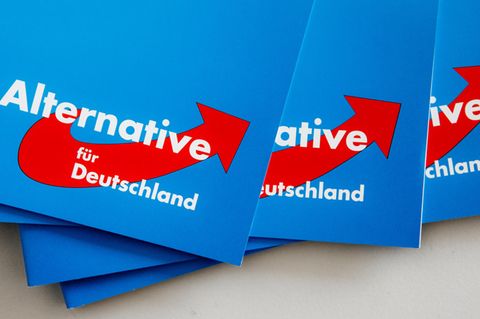 Die Alternative für Deutschland (AfD)