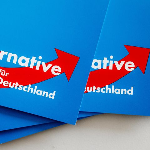 Die Alternative für Deutschland (AfD)