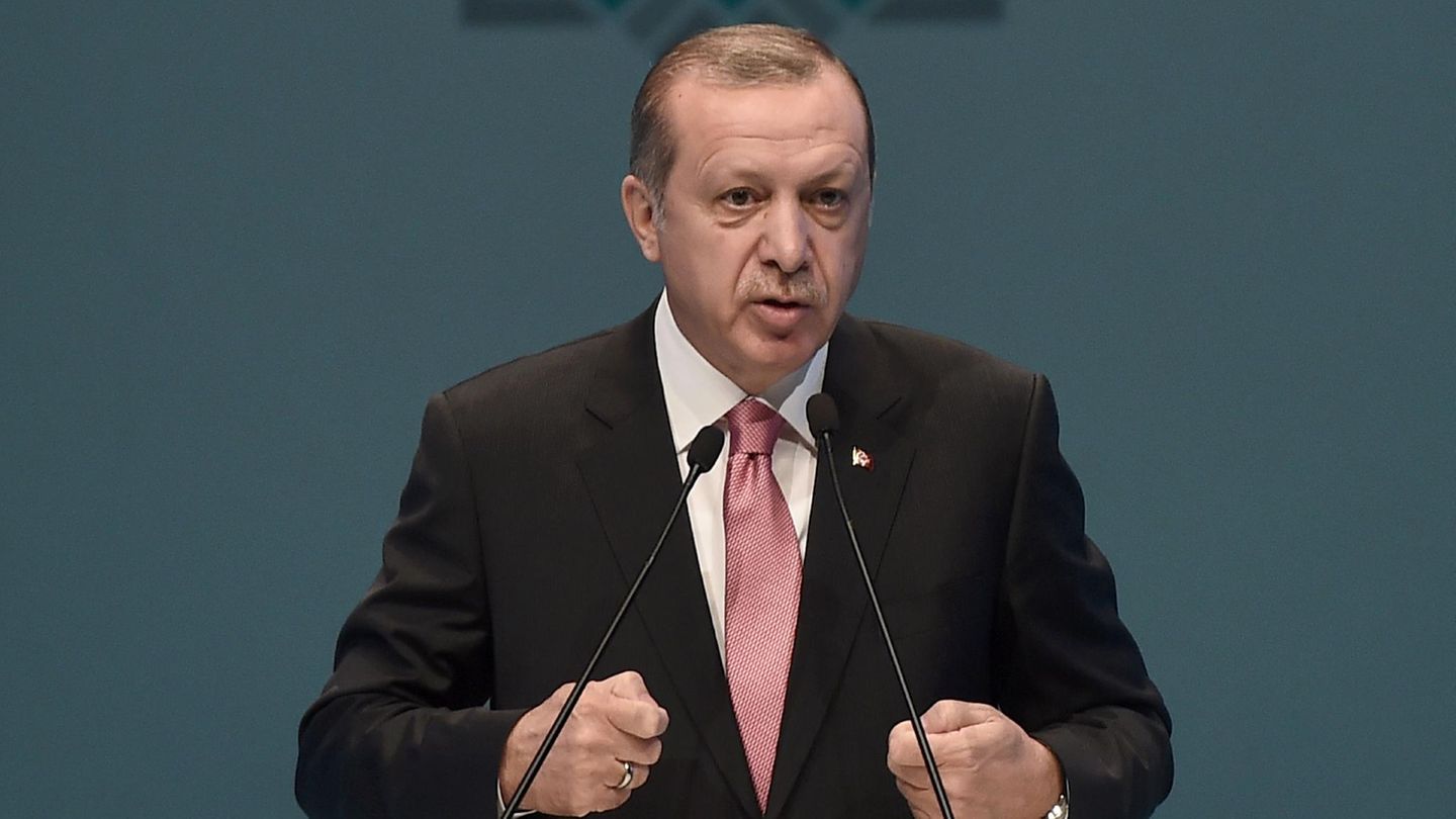 Der türkische Präsident Recep Tayyip Erdogan hat den deutsch-türkischen Journalisten Deniz Yücel der "Spionage" bezichtigt