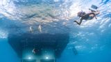 The Underwater Room