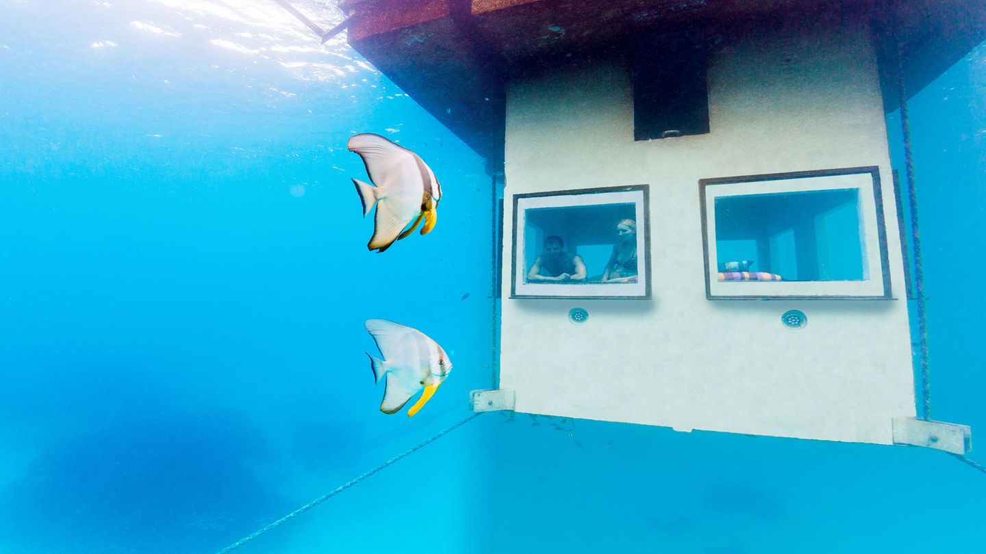 The Underwater Room