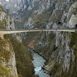 Das große Bulli-Abenteuer