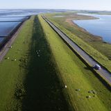 Das große Bulli-Abenteuer