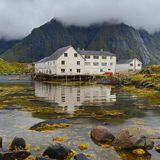 Das große Bulli-Abenteuer