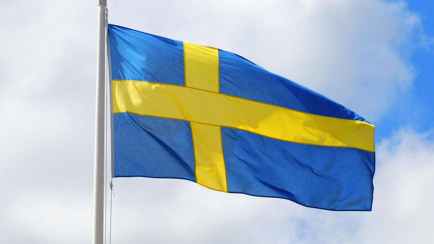 Schweden, Auswärtiges Amt, AfD