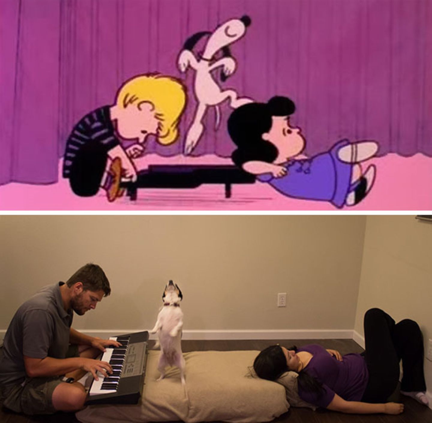 Die Peanuts