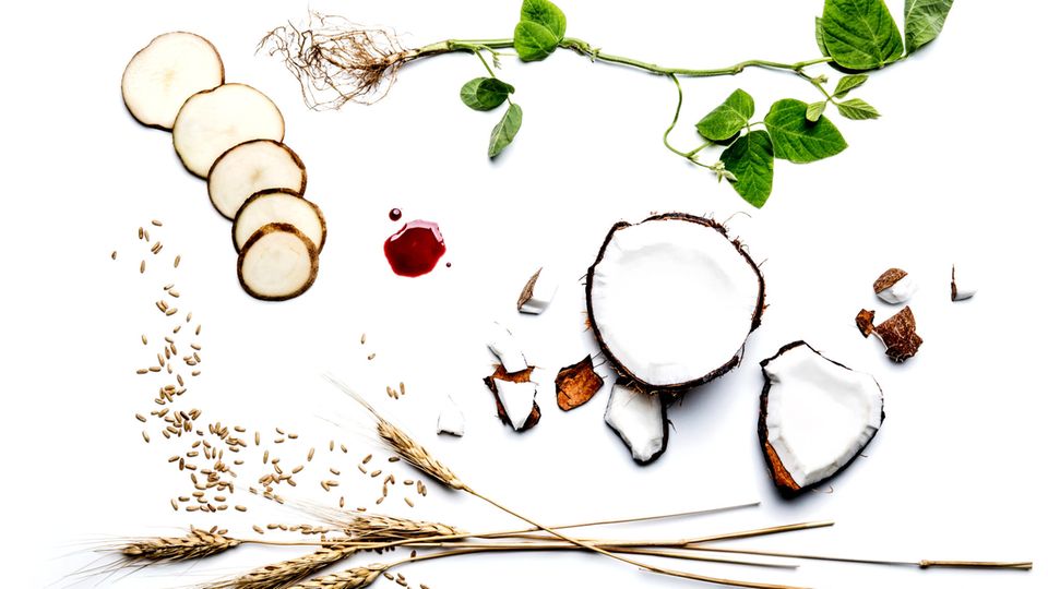Die Zutaten der Frikadelle sind unter Anderem Weizne, Kokosöl, Kartoffel-Protein und Hefebasiertes Hämoglobin.