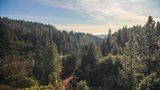 Durch den Wald
