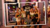 Der Bachelor