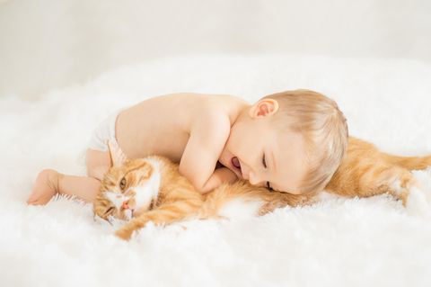 Ein Baby kuschelt mit einer Katze