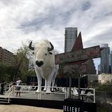 SXSW - der Innovations- und Digitalisierungskongress in Austin