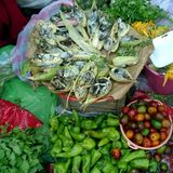 Huitlacoche (verschimmelte Maiskolben) in Mexiko  Währen der Regenzeit in Mexiko befällt ein Pilz, der sogenannte Maisbeulenbrand, die Maisfelder im ganzen Land. Die Maiskolben schimmeln. Angebraten sind diese eine beliebte Füllung für Tacos und Quesadillas. Wirklich appetitlich sehen die aber nicht aus. Bereits die Azteken schwörten auf den verschimmelten Mais. 