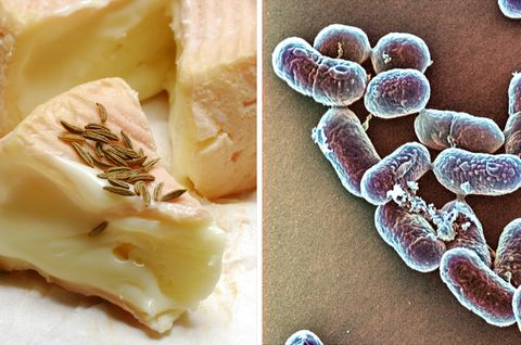 Krank durch Käse: Listerien