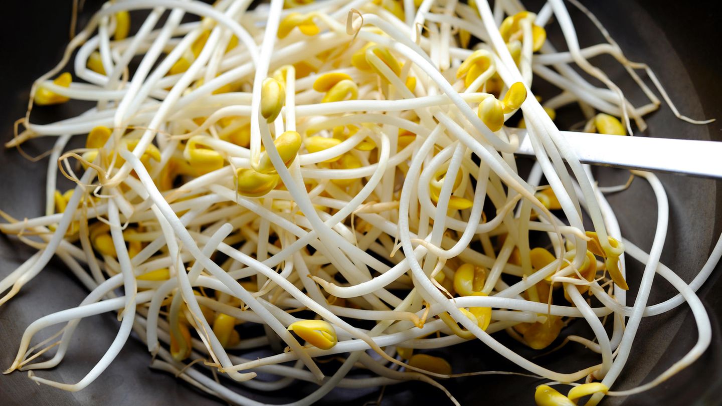 Sprossen  Frische Sprossen sind lecker und kalorienarm. Allerdings können sie auch schnell zu einer wahren Keimschleuder werden. Eine Untersuchung des Bundesinstituts für Risikobewertung (BfR) zeigt, dass sich Keime in fertig verpackten Sprossen innerhalb weniger Tage schnell vermehren können und am Ende des Mindesthaltbarkeitsdatums eine sehr hohe Konzentration aufweisen. Daher gilt: Sprossen rasch verbrauchen, gut abwaschen und nach Möglichkeit durchgaren. Schwangere und immungeschwächte Menschen sollten Sprossen nie roh verzehren.