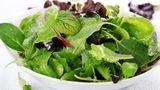 Salatmischungen  Abgepackte Salatmischungen aus dem Supermarkt sind praktisch - aber mit Vorsicht zu genießen. Sie zählen zu den leicht verderblichen Lebensmitteln, die krankmachende Keime wie Listerien, Salmonellen und E. coli-Bakterien enthalten können.    "Intakte Salat- und Kohlblätter bieten einen gewissen natürlichen Schutz gegen Keime", schreibt das Bundesinstitut für Risikobewertung (BfR). "Dieser wird zerstört, wenn sie geschnitten werden. An den Schnittflächen tritt Zellsaft aus, der Keime anzieht." Auch durch die Feuchtigkeit in den Plastiktüten fühlen sich Bakterien wohl und können sich mitunter rasant vermehren. Daher gilt: immer gut kühlen und zügig nach dem Einkauf aufbrauchen.
