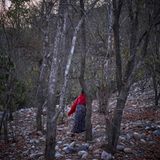 Dhana Devi Majhli ist 29 Jahre alt. Wenn sie ihre Tage hat, darf sie die Toilette ihres Hauses nicht benutzen. Stattdessen geht sie einmal am Tag in den Wald. Häufiger traut sie sich nicht. Aus Angst. "Wenn ich mich im 'Chau' befinde, kommt mich nur selten jemand besuchen. Wenn die Nachbarn vorbeischauen, ist das aber okay."