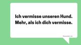 SMS an Ex-Partner, die nie abgeschickt wurden