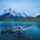 Lago Nordenskjöld in Patagonien