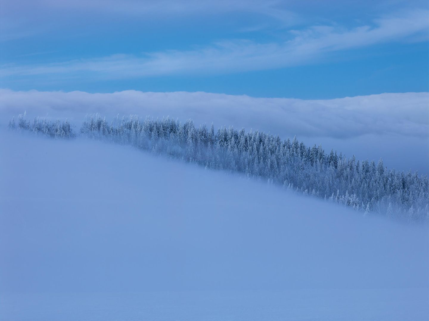Feldberg