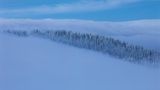 Feldberg