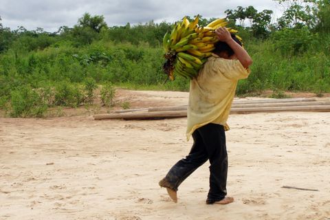 Bolivianische Ureinwohner des Tsimane-Stammes haben gesunde Herzen