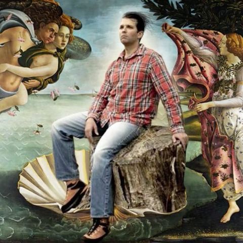 US-Präsidentensohn als Meme: Donald Trump Jr. sitzt auf einem Baumstumpf - und das Netz lacht sich kaputt