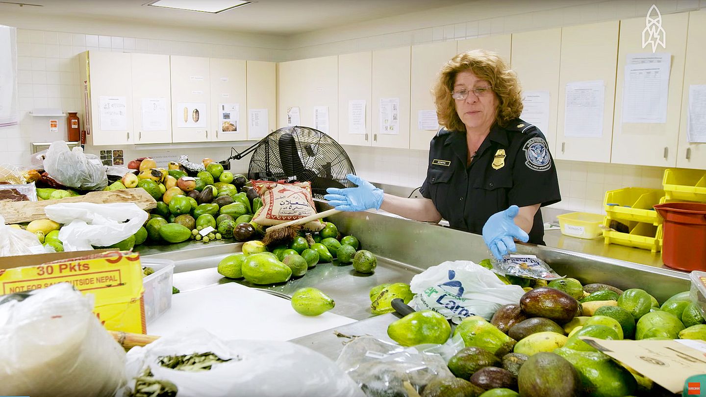 Unzählige Avocados, Mangos und andere Lebensmittel werden am JFK-Flughafen in New York konfisziert. Was passiert mit den Früchten danach?