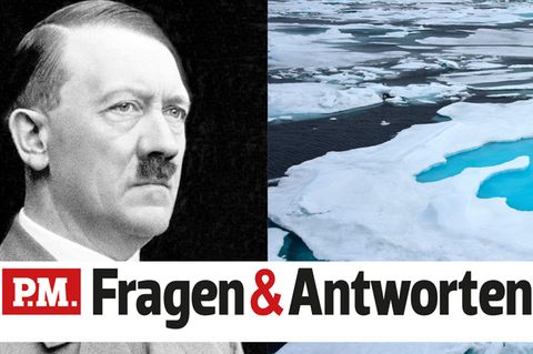 Adolf Hitler neben einem Bild des Nordpols