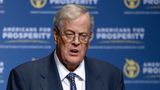 Bild von David Koch