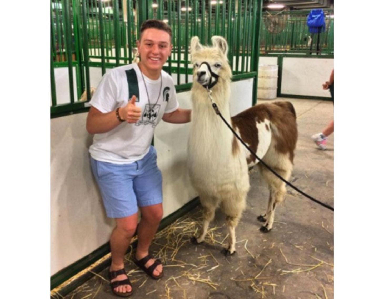 Joseph Adams schreibt sein Dating Resümee