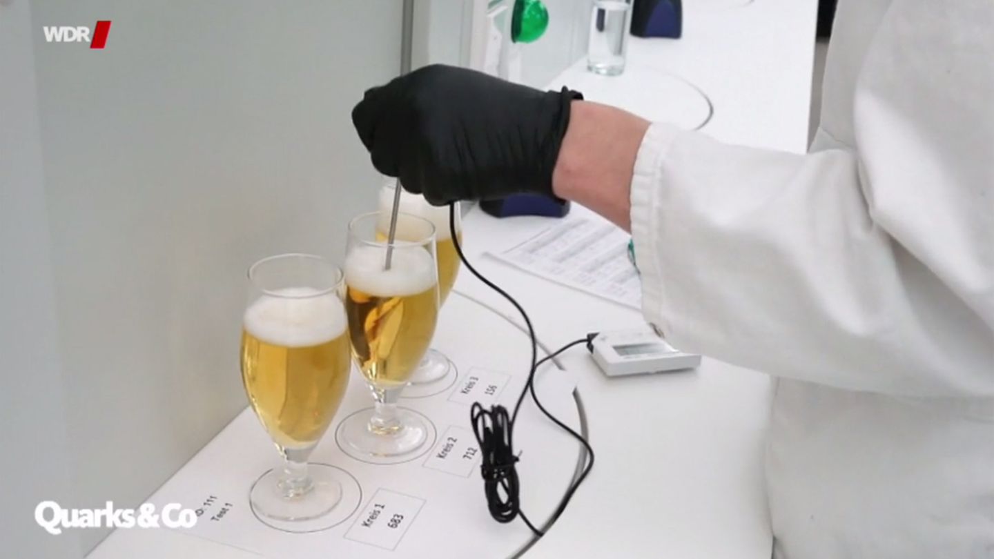 Bier im Blindtest: Schmeckt wirklich jedes Pils gleich? Dieses Experiment verrät's
