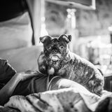 Krebs: Mom, Dad und der Tod