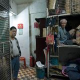 Zehn Käfige stehen in dem Raum, eine Küche gibt es nicht, aber ein Gemeinschafts-WC und eine Dusche sind vorhanden.