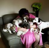 Und wo ist Frauchen? Briten sind ebenso hundeverrückt wie Deutsche. Momentaufnahme aus Nuneaton.