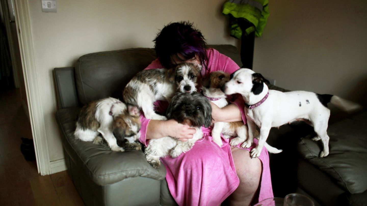 Und wo ist Frauchen? Briten sind ebenso hundeverrückt wie Deutsche. Momentaufnahme aus Nuneaton.
