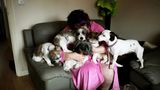 Und wo ist Frauchen? Briten sind ebenso hundeverrückt wie Deutsche. Momentaufnahme aus Nuneaton.