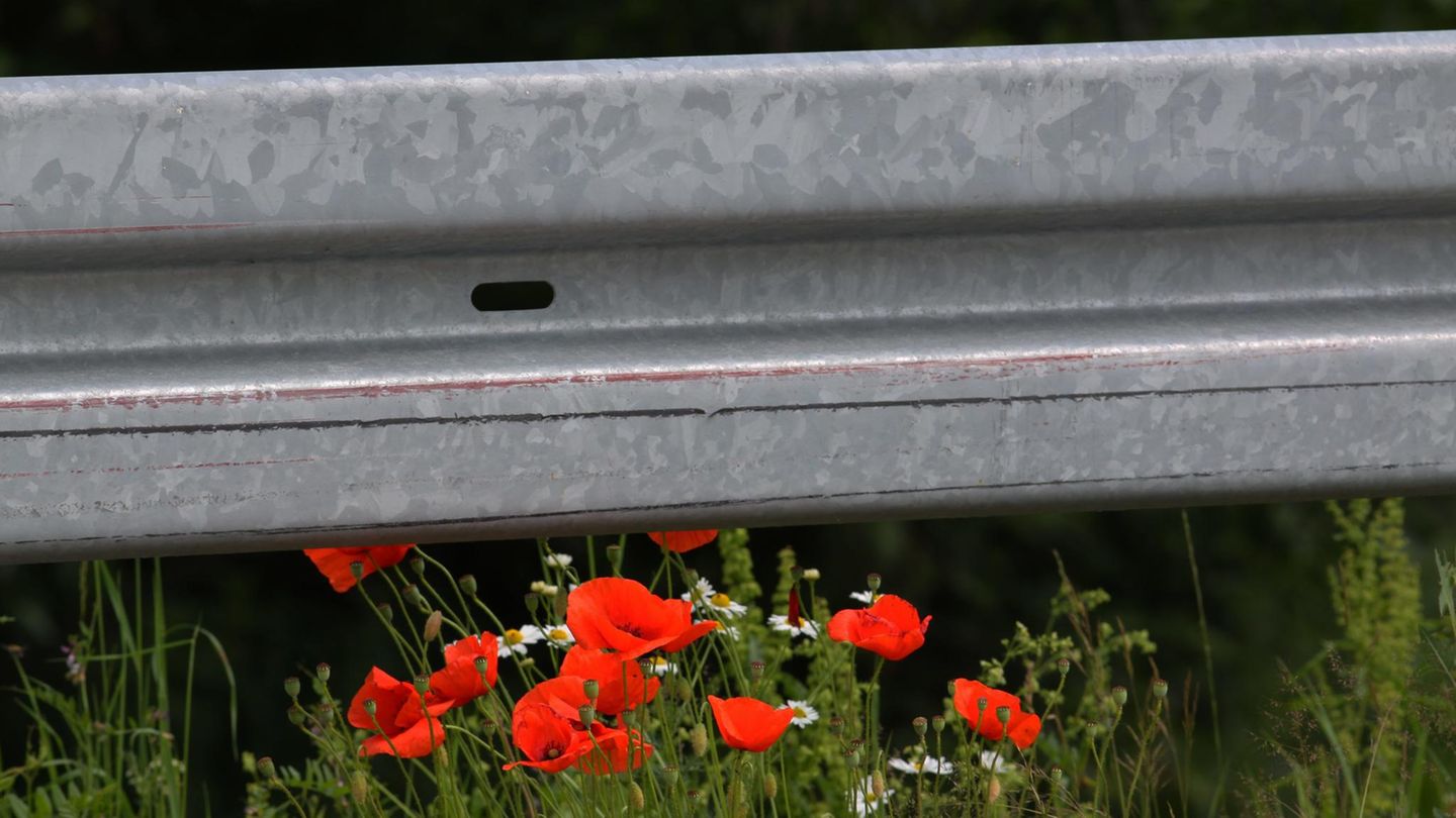 Zu sehen ist ein Symbolbild einer grauen Leitplanke mit einigen roten Blumen.