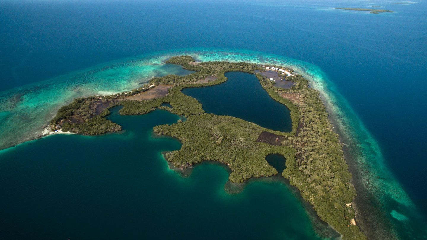 North East Caye Bild der "North East Caye"