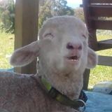 Klassisches Montagsgefühl