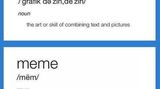 Für alle, die nicht wissen, was ein Meme ist