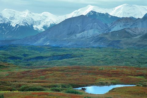 Alaska