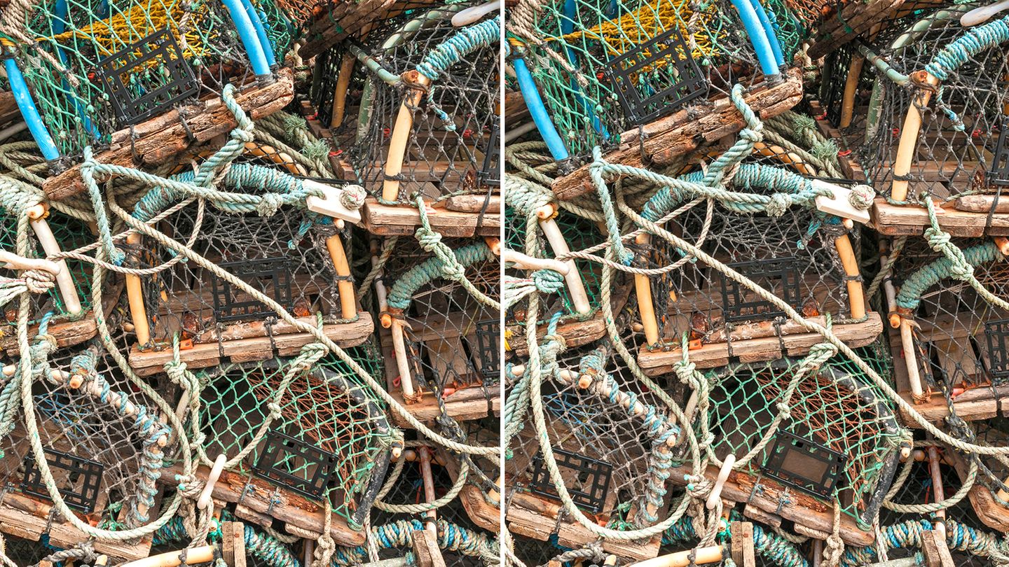 Links sehen Sie das Original, rechts haben wir sechs Fehler versteckt. Um das Bild zu vergrößern, klicken Sie bitte auf das Zoomsymbol unten rechts auf dem Bild.