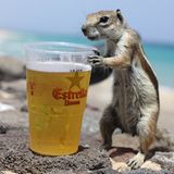 Lustige Urlaubsfotos