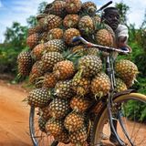 Lustige Urlaubsfotos