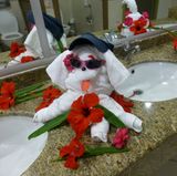 Lustige Urlaubsfotos